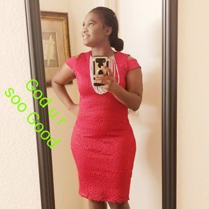 Meet your Posher, Rose